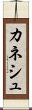 カネシュ Scroll