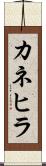 カネヒラ Scroll