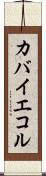 カバイエコル Scroll