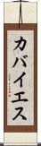 カバイエス Scroll