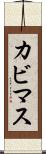 カビマス Scroll