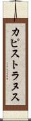 カピストラヌス Scroll