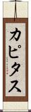カピタス Scroll