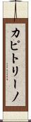 カピトリーノ Scroll