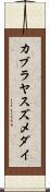 カブラヤスズメダイ Scroll