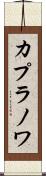 カプラノワ Scroll