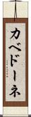 カベドーネ Scroll