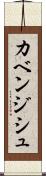 カベンジシュ Scroll