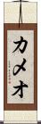 カメオ Scroll