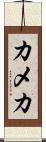 カメカ Scroll