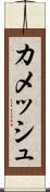 カメッシュ Scroll