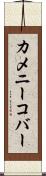 カメニーコバー Scroll