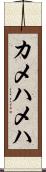 カメハメハ Scroll
