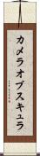 カメラオブスキュラ Scroll