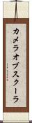 カメラオブスクーラ Scroll