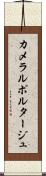カメラルポルタージュ Scroll