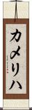 カメリハ Scroll