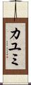 Kayumi Scroll