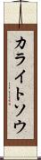 カライトソウ Scroll
