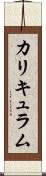 カリキュラム Scroll