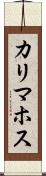 カリマホス Scroll