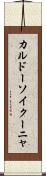 カルドーソイクーニャ Scroll