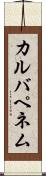 カルバペネム Scroll