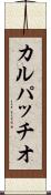 カルパッチオ Scroll