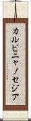 カルビニャノセジア Scroll