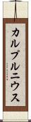カルプルニウス Scroll
