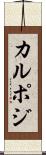 カルポジ Scroll