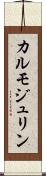 カルモジュリン Scroll
