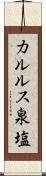 カルルス泉塩 Scroll