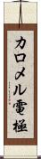 カロメル電極 Scroll
