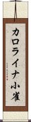 カロライナ小雀 Scroll
