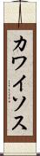 カワイソス Scroll