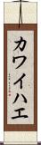 カワイハエ Scroll