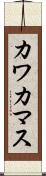 カワカマス Scroll