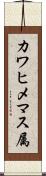 カワヒメマス属 Scroll