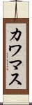 カワマス Scroll