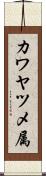 カワヤツメ属 Scroll