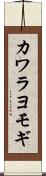 カワラヨモギ Scroll