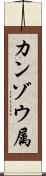 カンゾウ属 Scroll