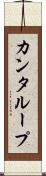 カンタループ Scroll