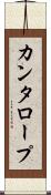 カンタロープ Scroll