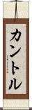 カントル Scroll