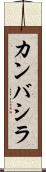 カンバシラ Scroll
