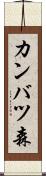 カンバツ森 Scroll