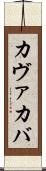 カヴァ Scroll