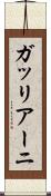 ガッリアーニ Scroll